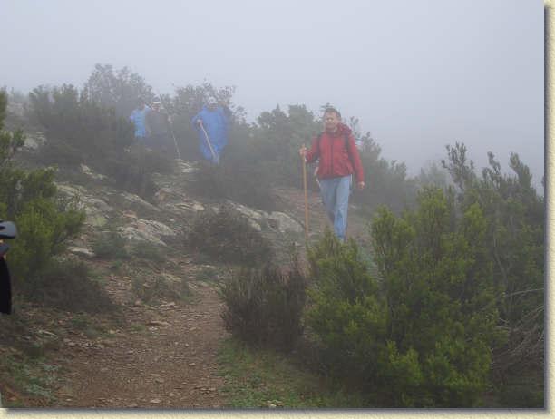 Diapositiva siguiente