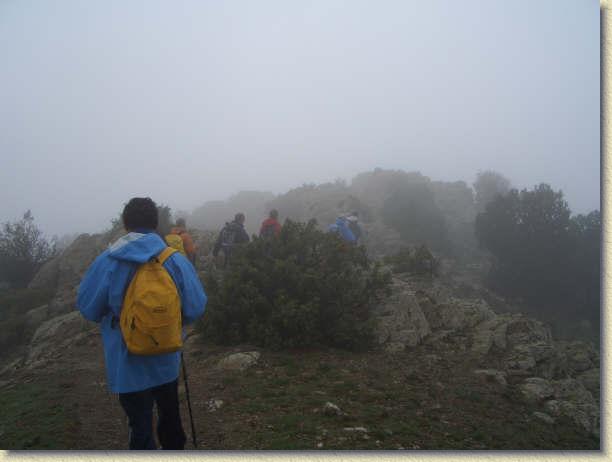 Diapositiva siguiente