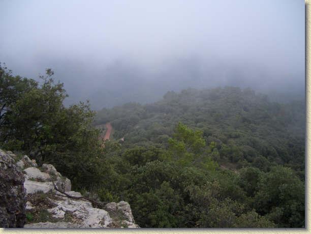 Diapositiva siguiente