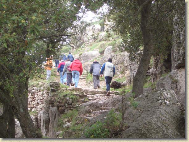 Diapositiva siguiente