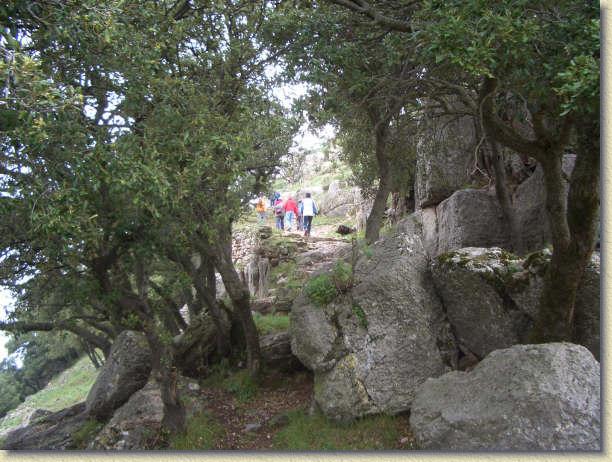 Diapositiva siguiente