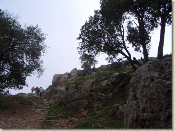 Diapositiva siguiente