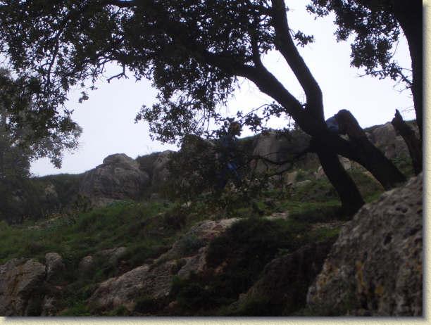 Diapositiva siguiente