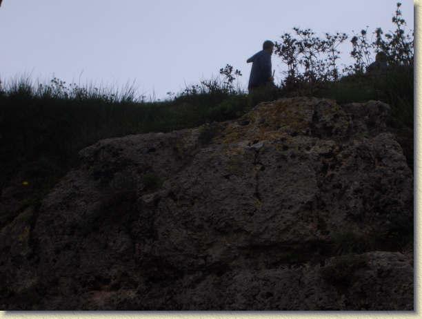 Diapositiva siguiente