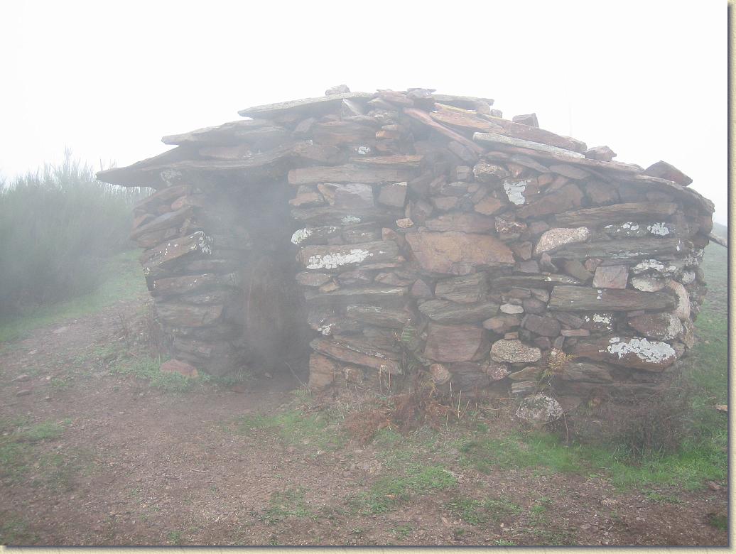 Diapositiva siguiente