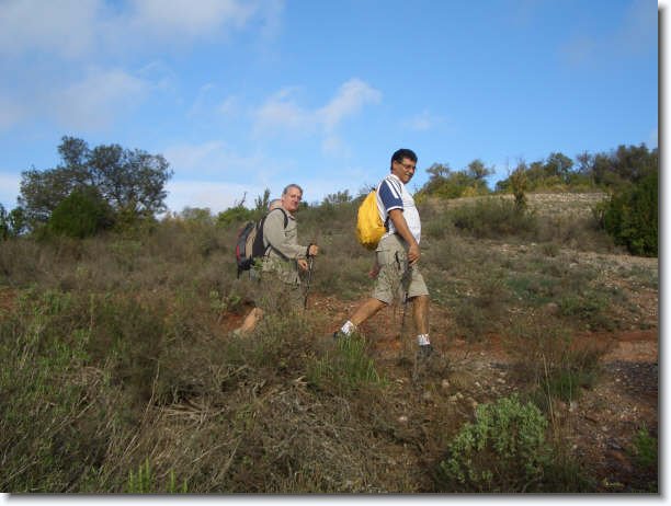 Diapositiva siguiente