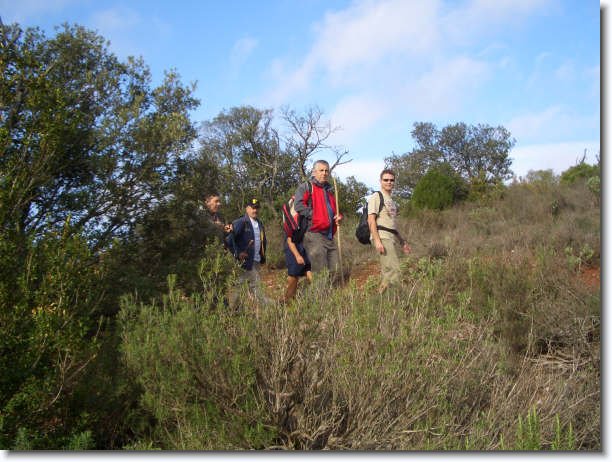 Diapositiva siguiente