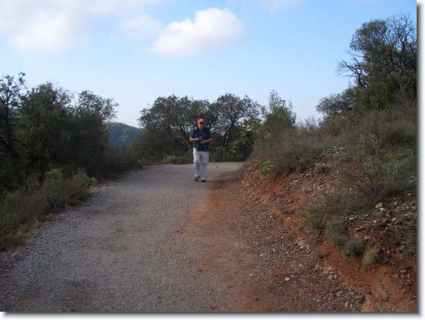 Diapositiva siguiente