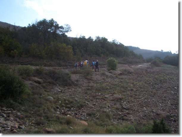 Diapositiva siguiente