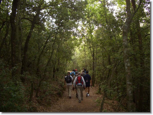 Diapositiva siguiente