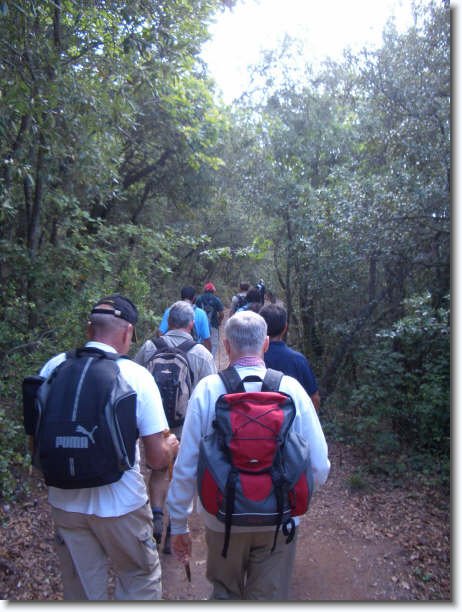 Diapositiva siguiente