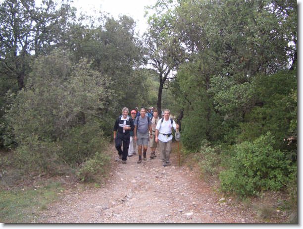 Diapositiva siguiente