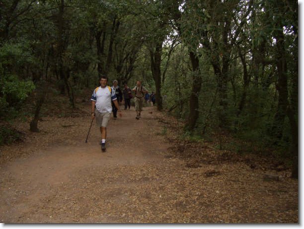 Diapositiva siguiente