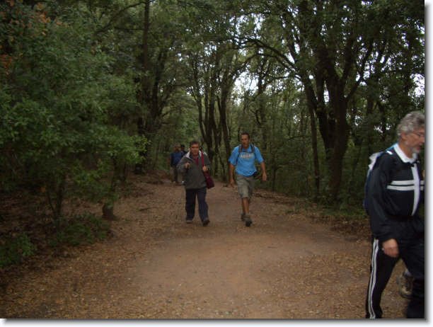 Diapositiva siguiente