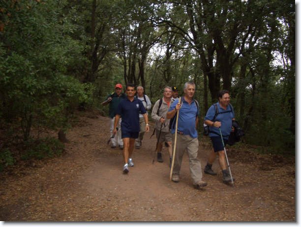 Diapositiva siguiente