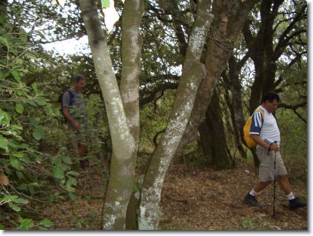 Diapositiva siguiente