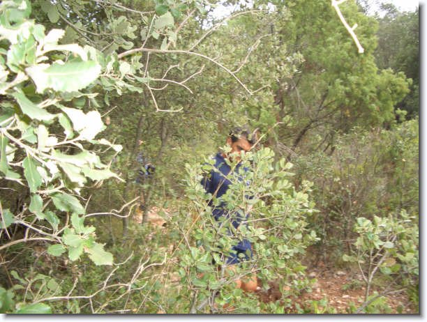 Diapositiva siguiente