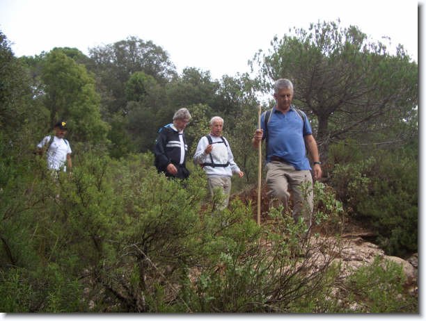 Diapositiva siguiente