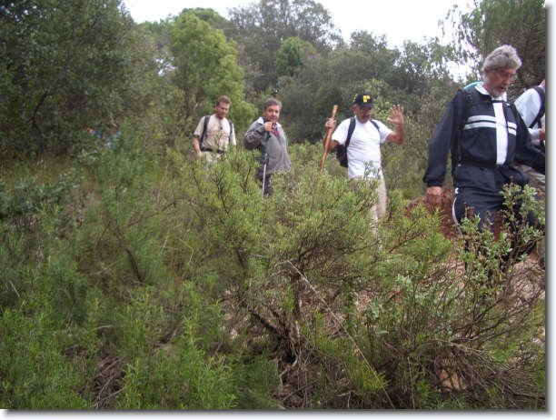 Diapositiva siguiente