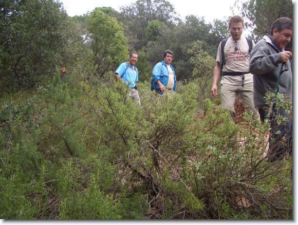 Diapositiva siguiente