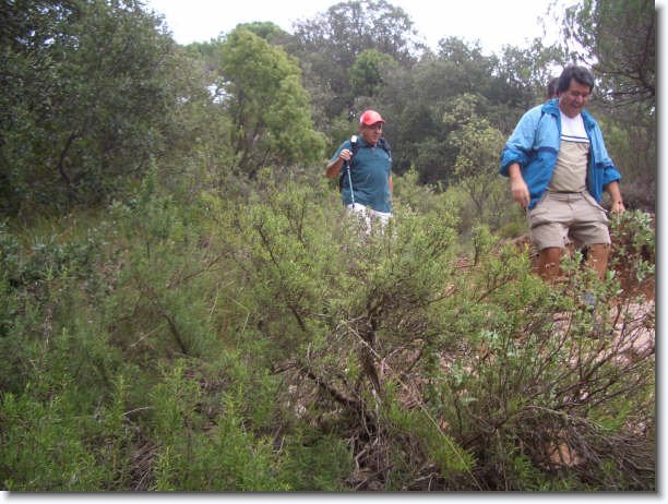 Diapositiva siguiente