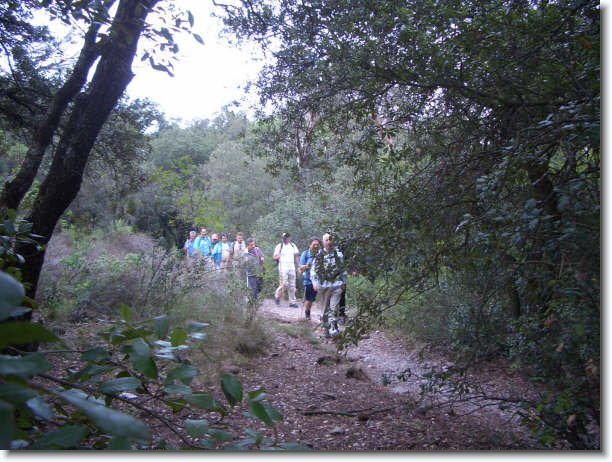 Diapositiva siguiente