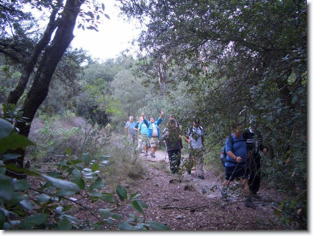 Diapositiva siguiente