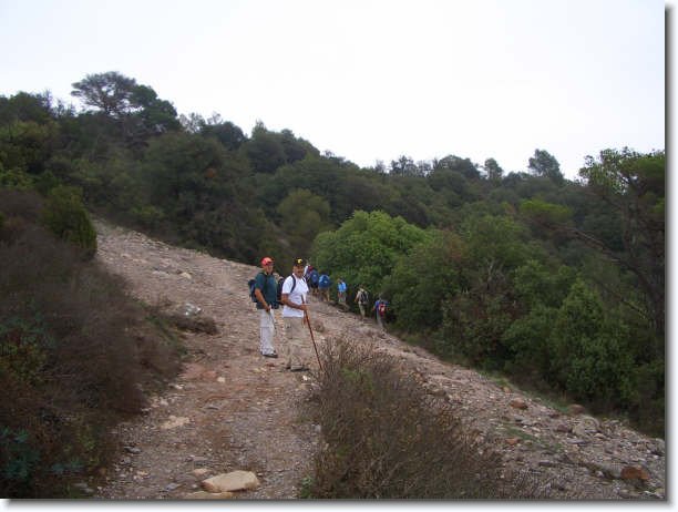 Diapositiva siguiente