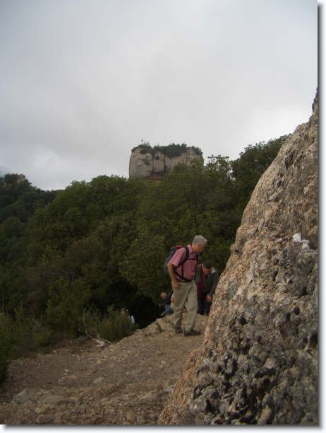 Diapositiva siguiente