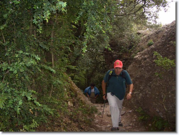 Diapositiva siguiente