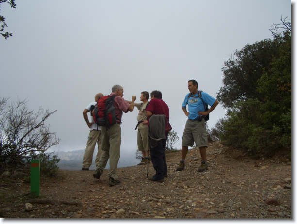 Diapositiva siguiente