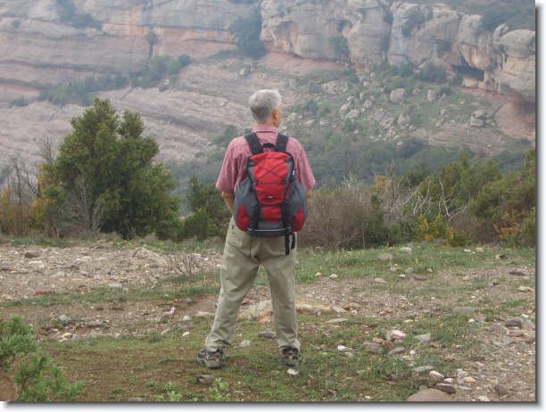 Diapositiva siguiente