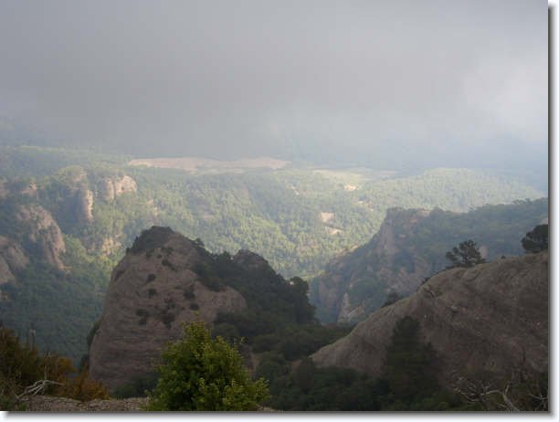 Diapositiva siguiente