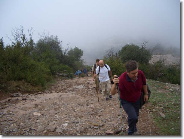 Diapositiva siguiente