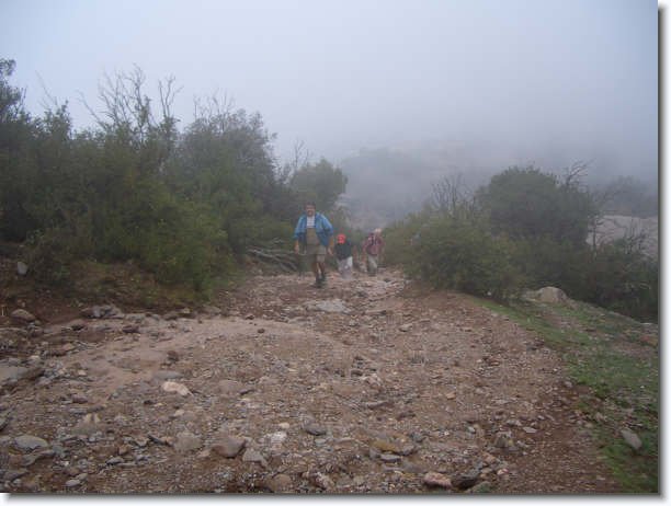 Diapositiva siguiente