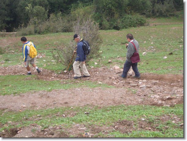 Diapositiva siguiente