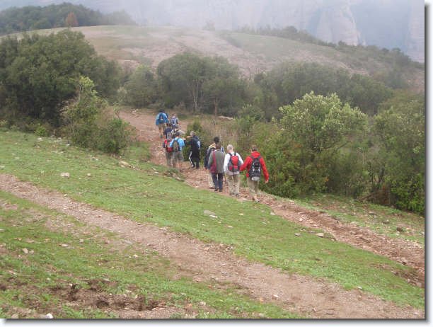 Diapositiva siguiente