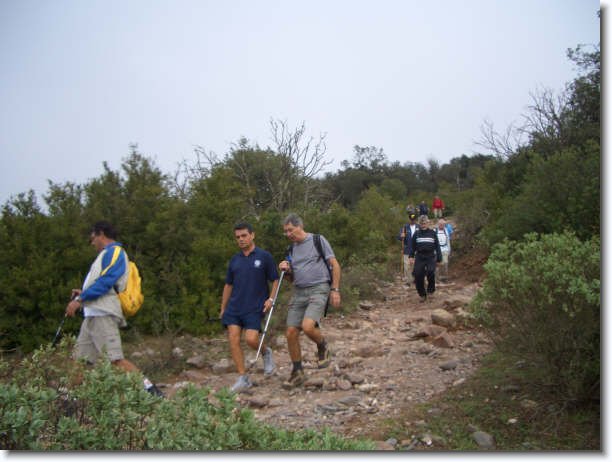 Diapositiva siguiente