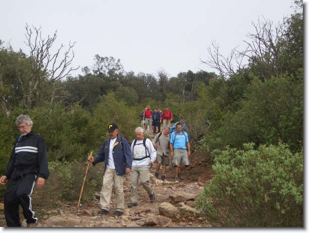 Diapositiva siguiente