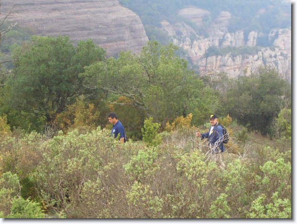 Diapositiva siguiente