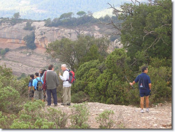 Diapositiva siguiente