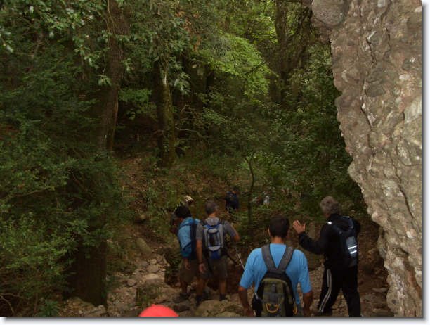 Diapositiva siguiente