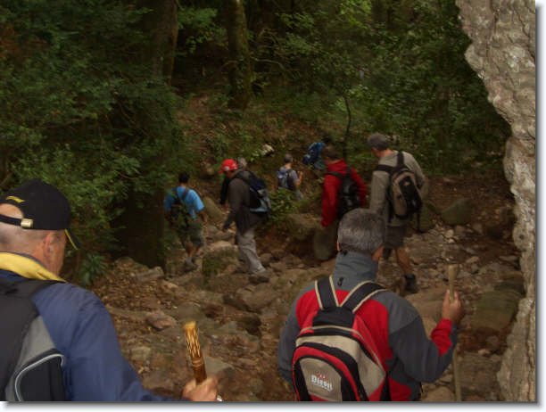 Diapositiva siguiente