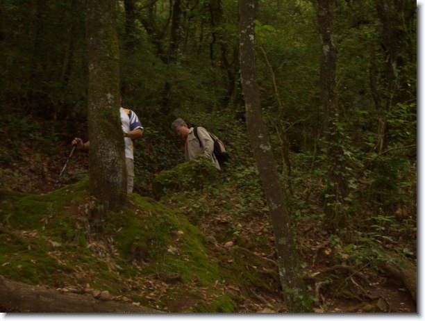 Diapositiva siguiente