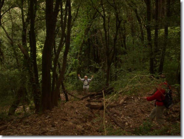 Diapositiva siguiente