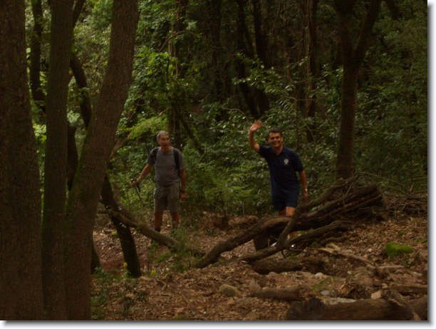 Diapositiva siguiente