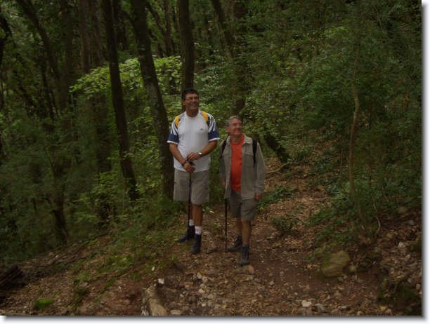 Diapositiva siguiente