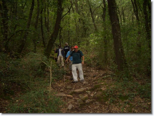 Diapositiva siguiente