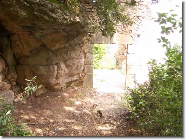 Diapositiva siguiente