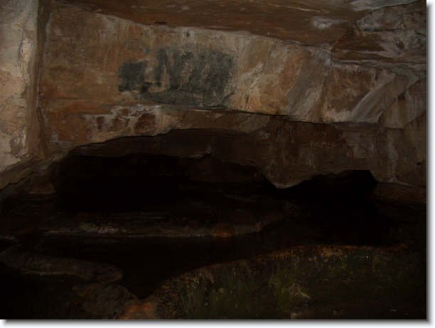 Diapositiva siguiente